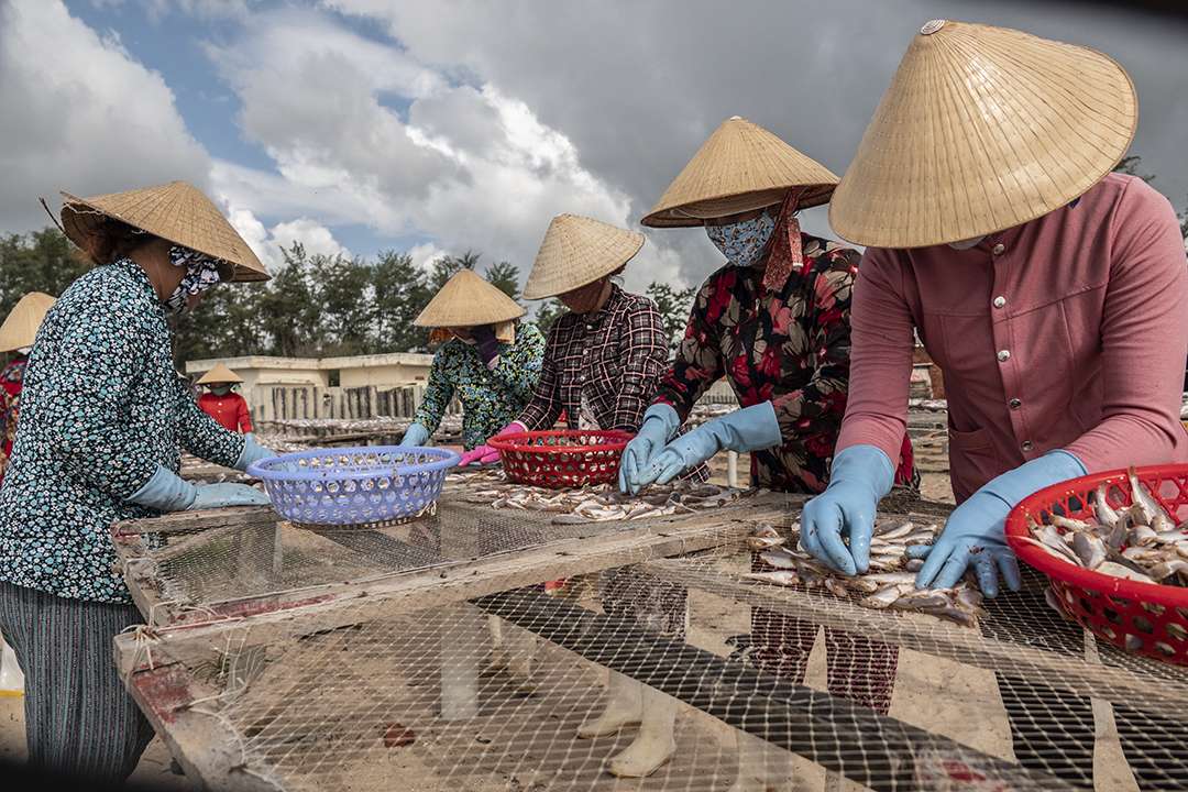 Vietnam Vietnam